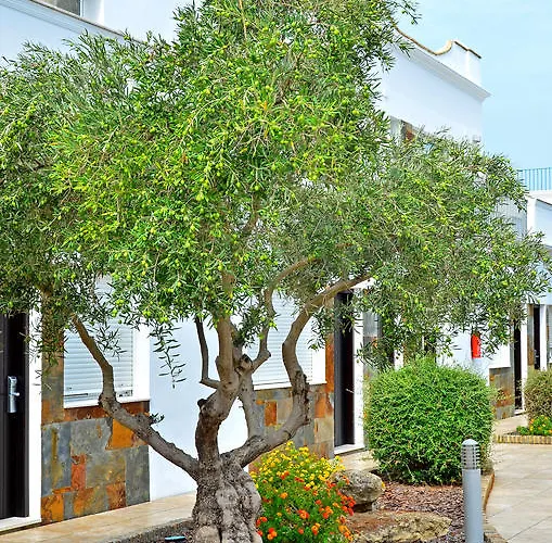 Apartmán Piedramar *